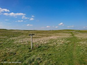 Parson’s Pulpit – Wild Camp #008