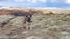 Pen-y-ghent & Plover Hill – Wild Camp #030