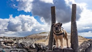 Pen-y-ghent & Plover Hill – Wild Camp #030