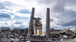Pen-y-ghent & Plover Hill – Wild Camp #030