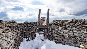 Pen-y-ghent & Plover Hill – Wild Camp #030
