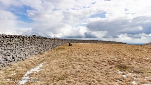 Pen-y-ghent & Plover Hill – Wild Camp #030