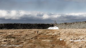Pen-y-ghent & Plover Hill – Wild Camp #030