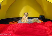 Pen-y-ghent & Plover Hill – Wild Camp #030