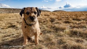 Pen-y-ghent & Plover Hill – Wild Camp #030