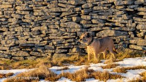 Pen-y-ghent & Plover Hill – Wild Camp #030