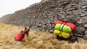 Pen-y-ghent & Plover Hill – Wild Camp #030