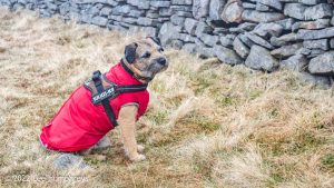 Pen-y-ghent & Plover Hill – Wild Camp #030