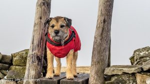 Pen-y-ghent & Plover Hill – Wild Camp #030