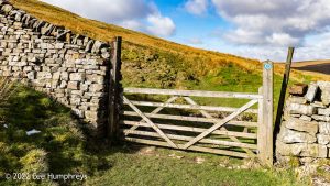 Pen-y-ghent & Plover Hill – Wild Camp #030
