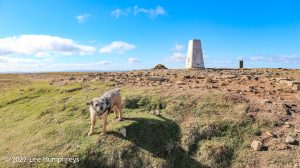 Pendle Hill