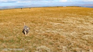 Pendle Hill