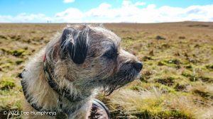 Pendle Hill