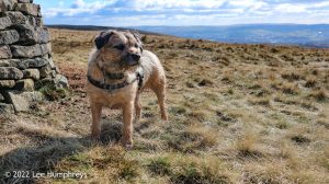 Pendle Hill