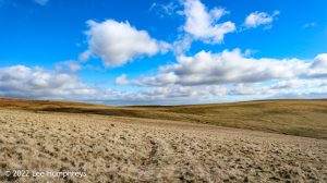 Pendle Hill