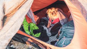 Pikedaw Hill, Malham – Wild Camp #025