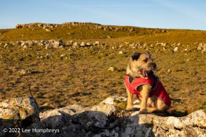 Pikedaw Hill, Malham – Wild Camp #025