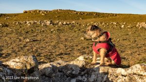 Pikedaw Hill, Malham – Wild Camp #025