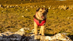 Pikedaw Hill, Malham – Wild Camp #025