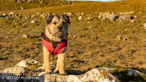 Pikedaw Hill, Malham – Wild Camp #025