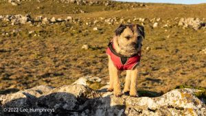 Pikedaw Hill, Malham – Wild Camp #025