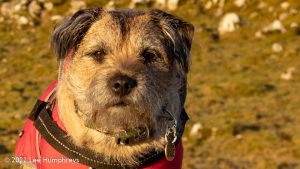 Pikedaw Hill, Malham – Wild Camp #025