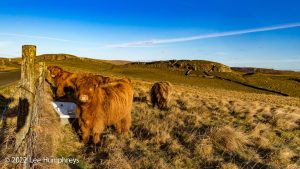 Pikedaw Hill, Malham – Wild Camp #025