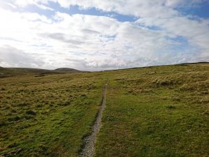 Rye Loaf Hill – Wild Camp #006