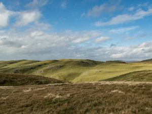 Rye Loaf Hill – Wild Camp #006