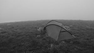 Rye Loaf Hill – Wild Camp #006