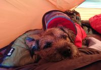 Rye Loaf Hill – Wild Camp #006