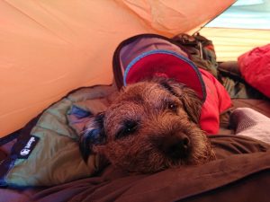 Rye Loaf Hill – Wild Camp #006