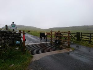 Rye Loaf Hill – Wild Camp #006