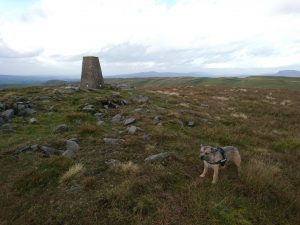 Rye Loaf Hill – Wild Camp #006