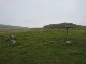 Rye Loaf Hill – Wild Camp #006