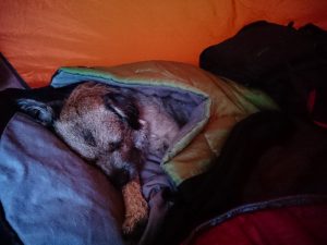 Rye Loaf Hill – Wild Camp #006