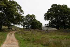 Scar House & Angram Reservoirs