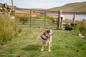 Scar House & Angram Reservoirs