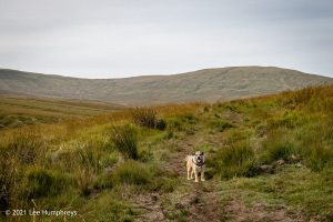 Scar House & Angram Reservoirs