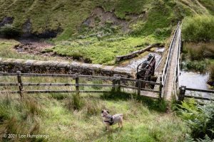 Scar House & Angram Reservoirs