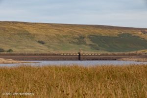 Scar House & Angram Reservoirs