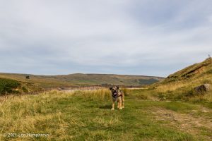 Scar House & Angram Reservoirs