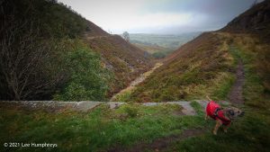 Stairs and Waggon & Horses