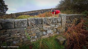 Stairs and Waggon & Horses