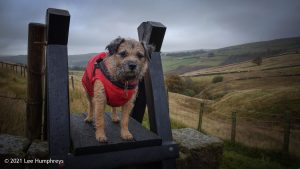 Stairs and Waggon & Horses