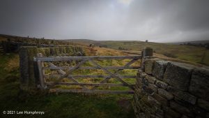 Stairs and Waggon & Horses