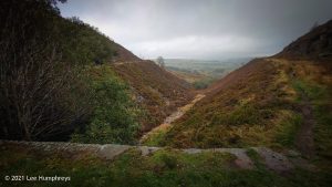 Stairs and Waggon & Horses
