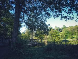 Sunny Sunday Morning Stroll