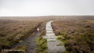 The 12 Apostles, Rombalds Moor, Ilkley