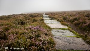 The 12 Apostles, Rombalds Moor, Ilkley